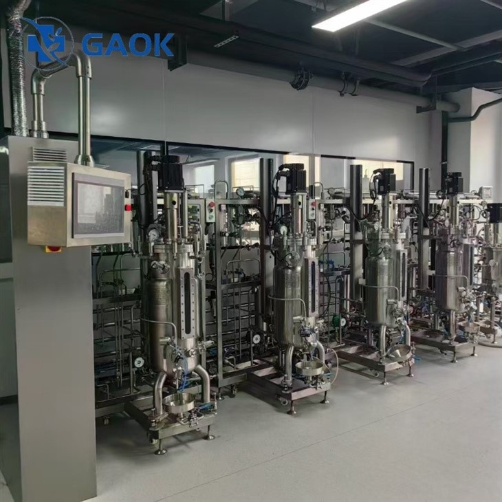 100L bioreactor